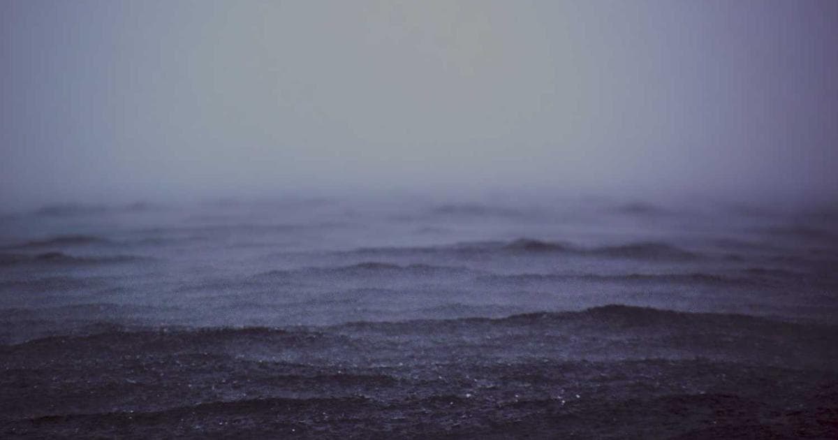 Low glycemic index foods arranged on table