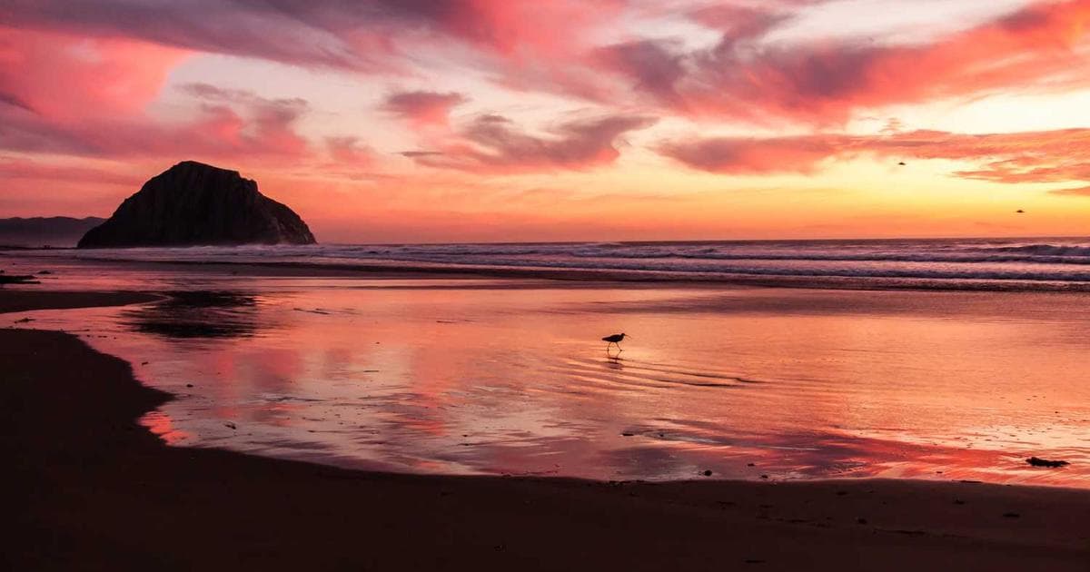 Person managing stress for better blood sugar control