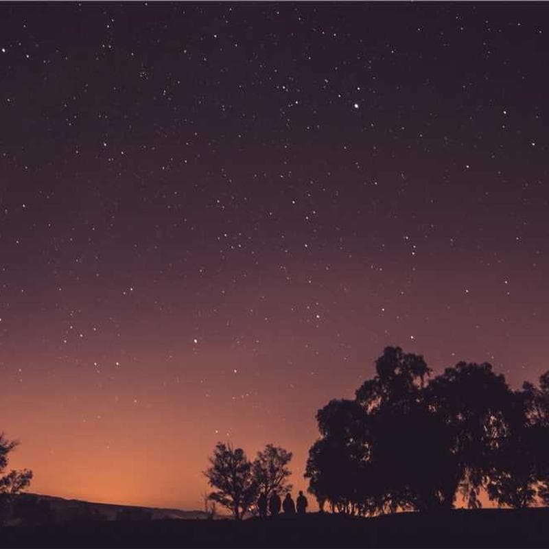 Best Alpha Lipoic Acid Supplements