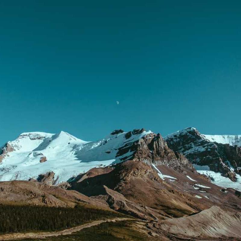 Best Bitter Melon Supplements