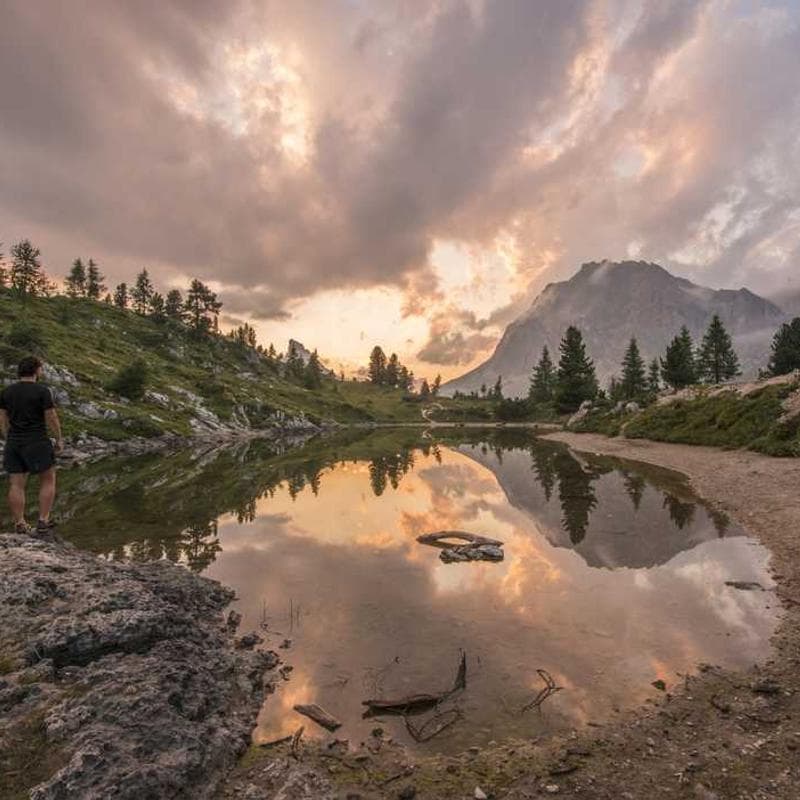 Best Fenugreek Supplements