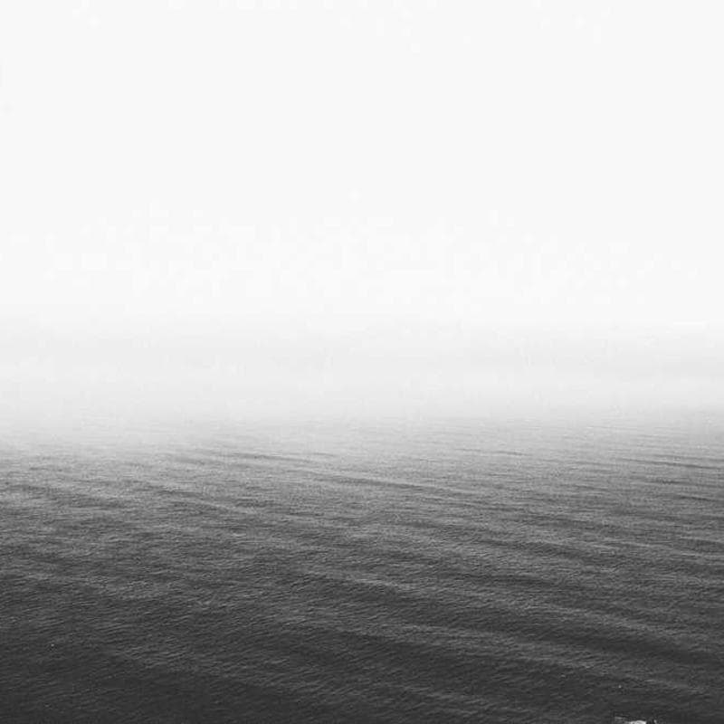 Best Gymnema Sylvestre Supplements