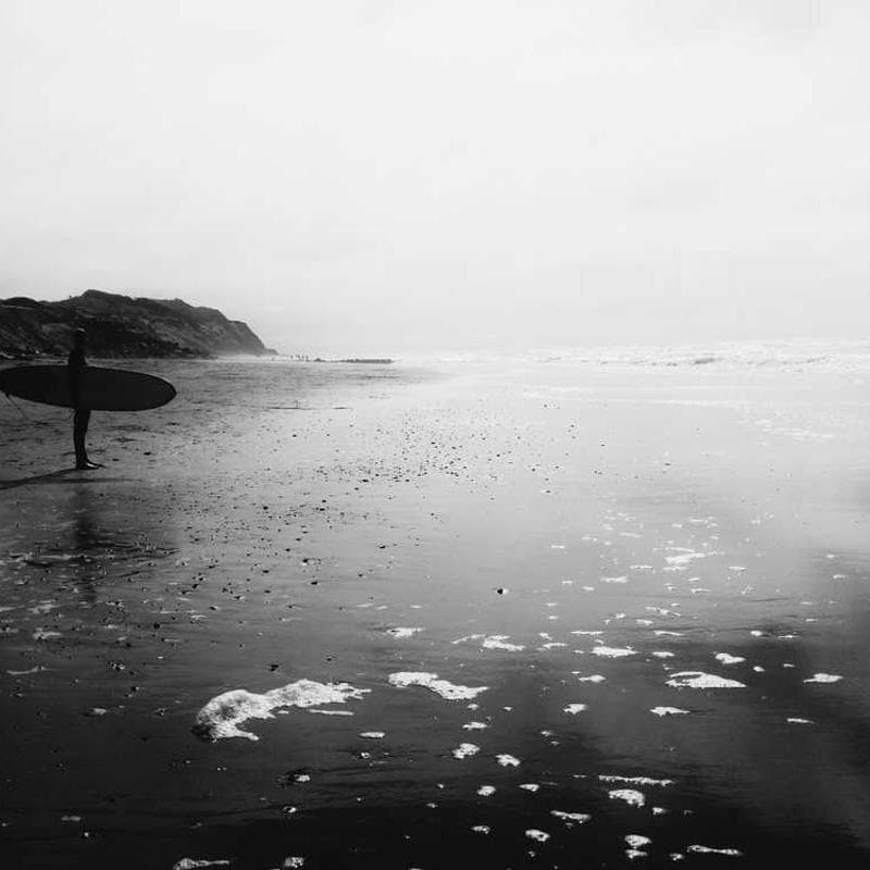 Best Powder Blood Sugar Supplements