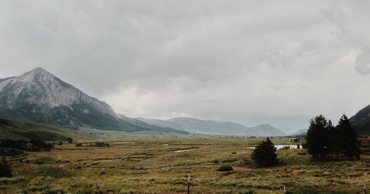 Alpha lipoic acid supplement capsules with antioxidant-rich foods